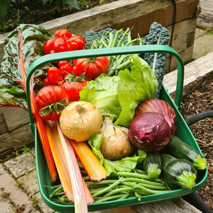 veg-new